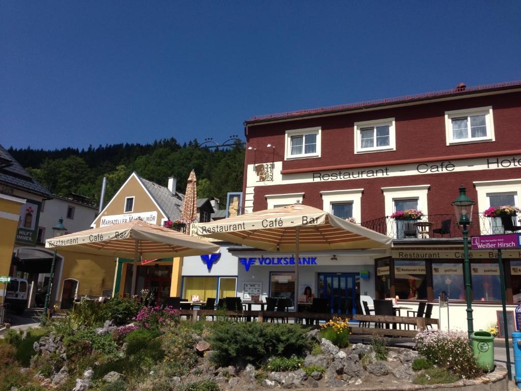 Magnus Klause Hotell Mariazell Exteriör bild